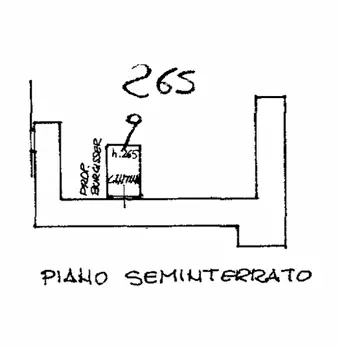 Foto annuncio 22