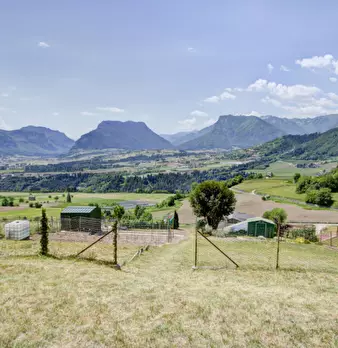 Foto annuncio 18