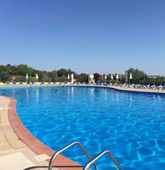 Foto annuncio 59