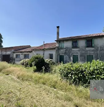 Foto annuncio 17