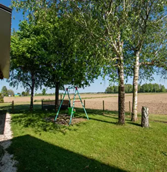 Foto annuncio 4