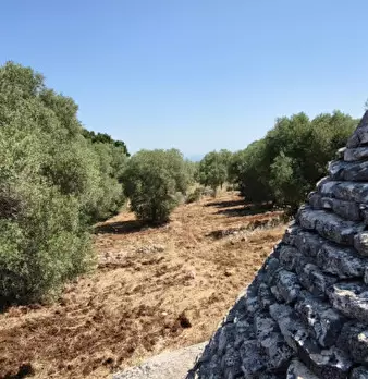 Foto annuncio 1