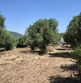 Foto annuncio 2