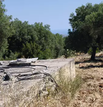Foto annuncio 8