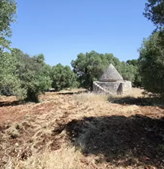 Foto annuncio 11