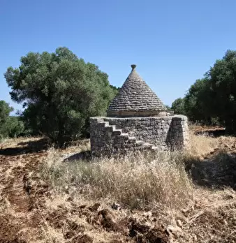 Foto annuncio 12