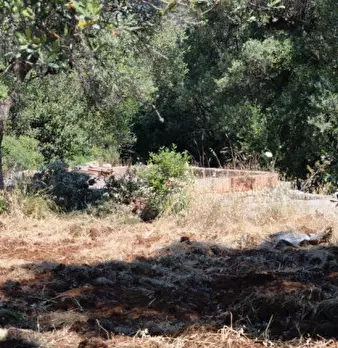 Foto annuncio 13