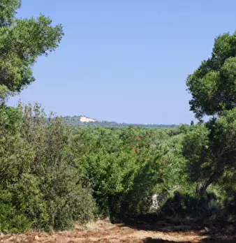 Foto annuncio 14