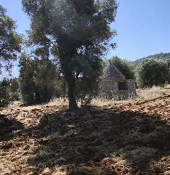Foto annuncio 17