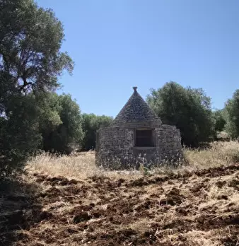 Foto annuncio 18