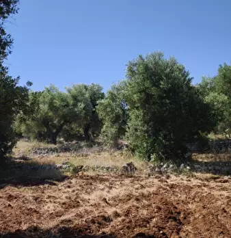 Foto annuncio 20
