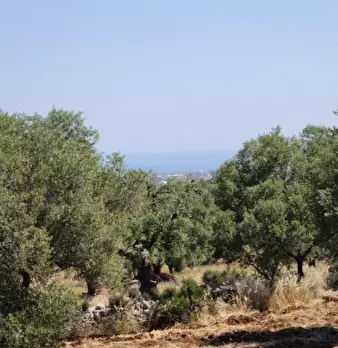 Foto annuncio 23