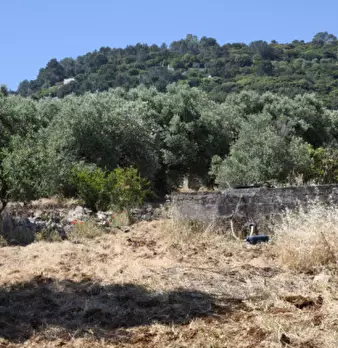 Foto annuncio 24