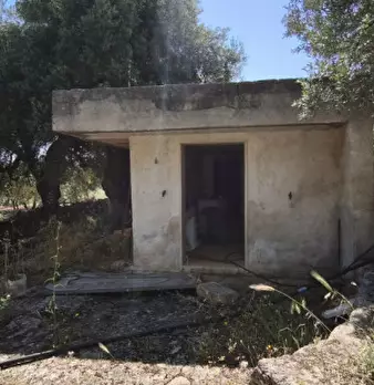 Foto annuncio 27