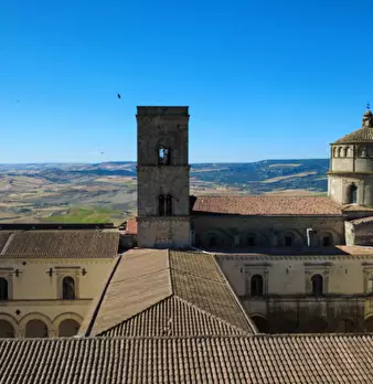 Foto annuncio 18
