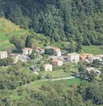 Foto annuncio 6