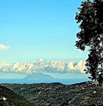 Foto annuncio 4