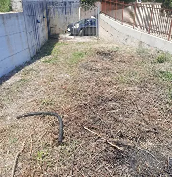 Foto annuncio 10
