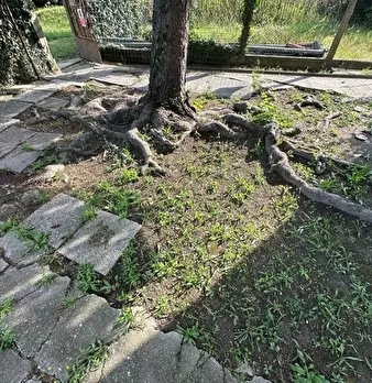 Foto annuncio 3