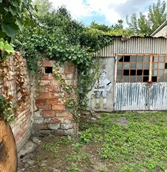 Foto annuncio 10