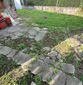 Foto annuncio 11