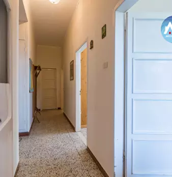 Foto annuncio 15