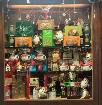 Foto annuncio 11