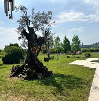 Foto annuncio 10