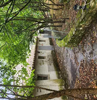 Foto annuncio 3