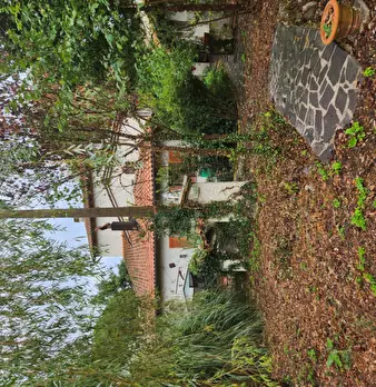 Foto annuncio 12