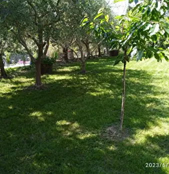Foto annuncio 8