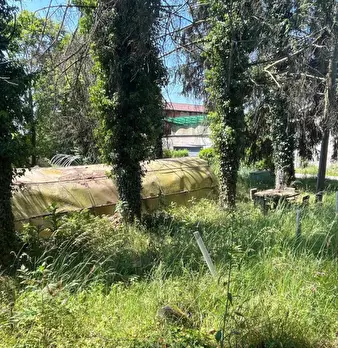 Foto annuncio 36