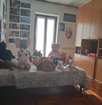 Foto annuncio 11