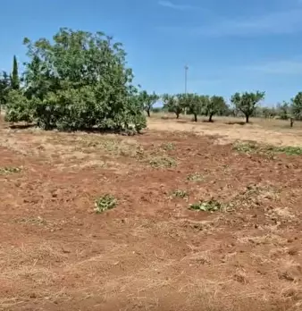 Foto annuncio 4