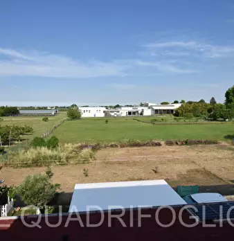 Foto annuncio 12