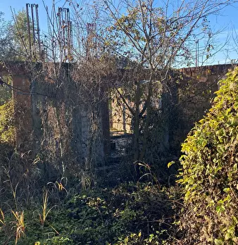 Foto annuncio 3