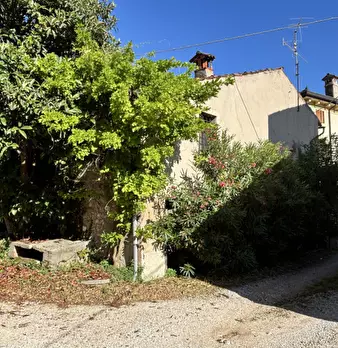 Foto annuncio 10