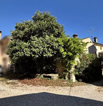 Foto annuncio 11
