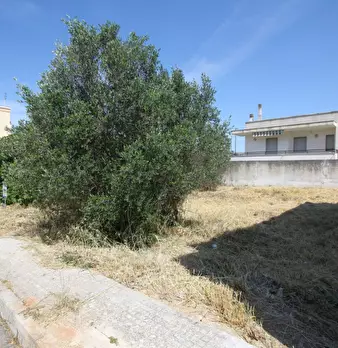 Foto annuncio 3