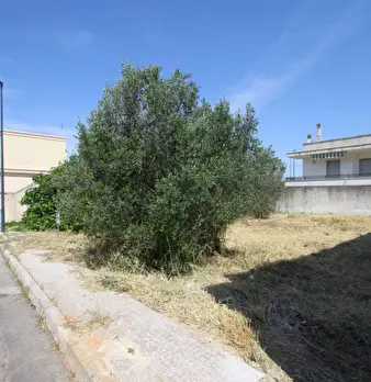 Foto annuncio 4