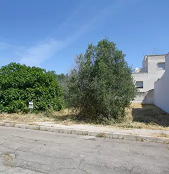 Foto annuncio 5