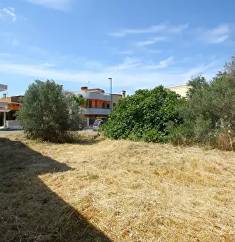 Foto annuncio 9