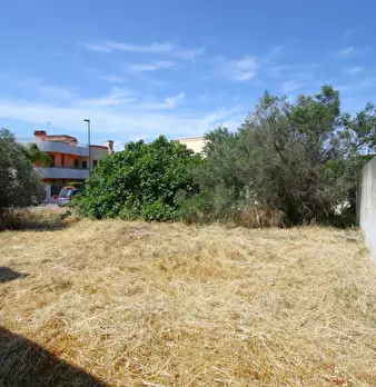 Foto annuncio 10