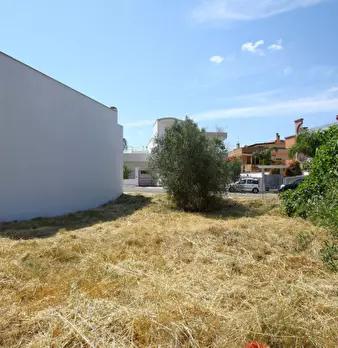 Foto annuncio 12
