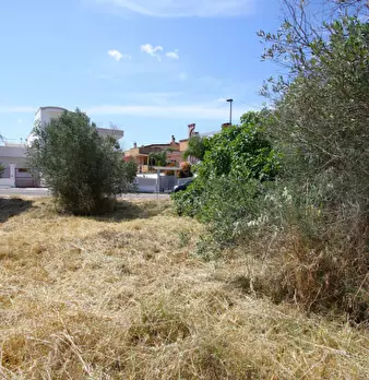 Foto annuncio 14