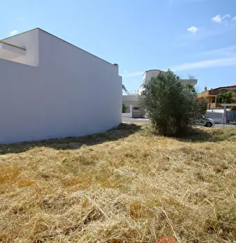Foto annuncio 15