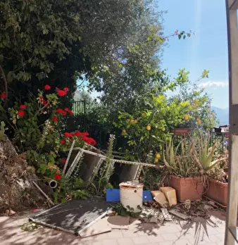 Foto annuncio 4
