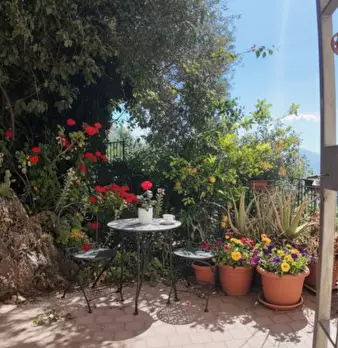 Foto annuncio 5