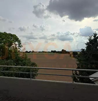 Foto annuncio 24