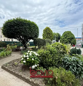 Foto annuncio 57